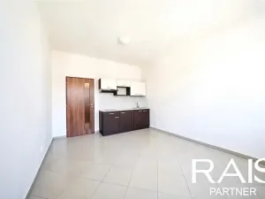 Prodej bytu 1+kk, Brno, Dukelská třída, 29 m2