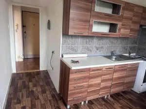 Pronájem bytu 2+1, Lovosice, Sady pionýrů, 56 m2