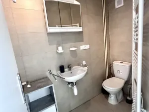 Pronájem bytu 1+kk, Rudolfov, Mlýnské údolí, 26 m2