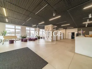 Prodej bytu 2+kk, Praha - Vysočany, Freyova, 55 m2