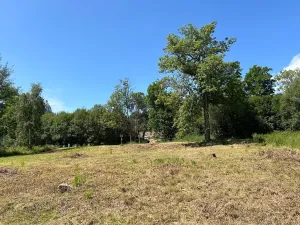 Prodej pozemku pro bydlení, Horní Planá, 4593 m2
