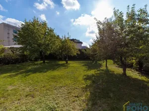 Prodej rodinného domu, Opočno, Palackého, 150 m2