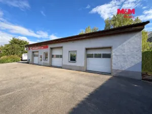 Prodej obchodního prostoru, Týn nad Vltavou, Veselská, 252 m2