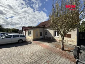 Prodej obchodního prostoru, Týn nad Vltavou, Veselská, 252 m2
