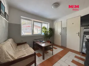 Prodej obchodního prostoru, Týn nad Vltavou, Veselská, 252 m2