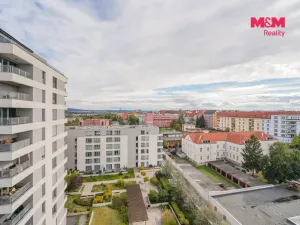 Prodej bytu 1+kk, Plzeň - Jižní Předměstí, Stehlíkova, 39 m2
