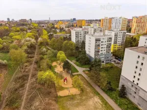 Prodej bytu 2+1, Praha - Žižkov, Habrová, 46 m2