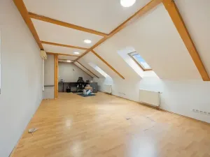 Prodej vícegeneračního domu, Pelhřimov, 300 m2