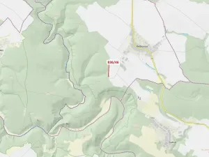 Dražba lesa, Ketkovice, 594 m2