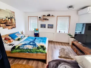 Prodej vícegeneračního domu, Brno, Krajní, 396 m2