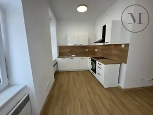 Pronájem bytu 2+kk, České Budějovice, Lidická tř., 48 m2