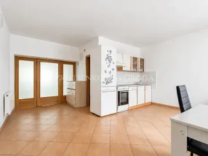 Prodej vícegeneračního domu, Jihlava, Brněnská, 300 m2