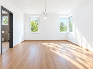Prodej rodinného domu, Plzeň, 249 m2
