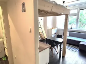 Prodej bytu 1+kk, Praha - Vinohrady, Šrobárova, 20 m2