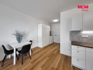Prodej bytu 1+kk, Mladá Boleslav - Mladá Boleslav III, Vondřichova, 38 m2