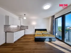 Prodej bytu 1+kk, Mladá Boleslav - Mladá Boleslav III, Vondřichova, 38 m2