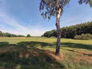 Prodej pole, Vodňany - Újezd, 6021 m2