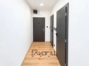 Pronájem bytu 1+kk, Ostrava, Alberta Kučery, 60 m2