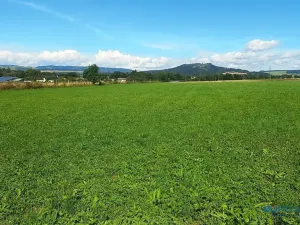 Prodej louky, Police nad Metují, 17068 m2