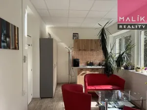 Pronájem kanceláře, Ostrov, Hlavní třída, 23 m2