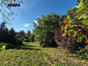 Prodej vícegeneračního domu, Letovice, Pražská, 330 m2