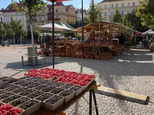 Pronájem bytu 2+kk, Praha - Žižkov, Křišťanova, 58 m2