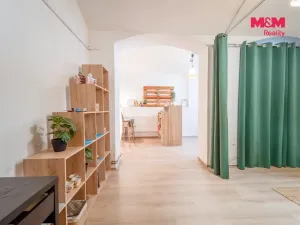 Pronájem obchodního prostoru, Plzeň - Východní Předměstí, Radyňská, 109 m2