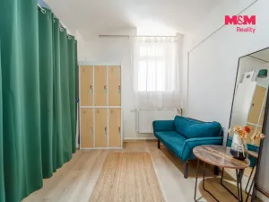 Pronájem obchodního prostoru, Plzeň - Východní Předměstí, Radyňská, 109 m2