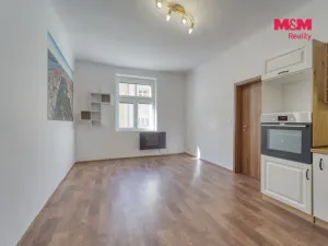 Pronájem bytu 2+kk, Plzeň - Jižní Předměstí, Čechova, 52 m2