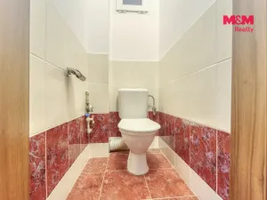 Pronájem bytu 2+kk, Plzeň - Jižní Předměstí, Čechova, 52 m2