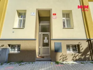 Pronájem bytu 2+kk, Plzeň - Jižní Předměstí, Čechova, 52 m2