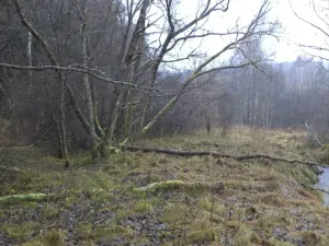 Dražba louky, Vyšší Brod, 919 m2