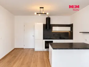 Prodej bytu 1+kk, Ostrava - Slezská Ostrava, Na Baranovci, 36 m2
