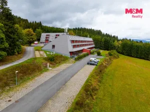 Prodej bytu 1+kk, Ostružná - Ramzová, 30 m2