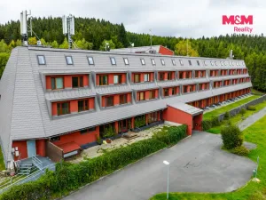 Prodej bytu 1+kk, Ostružná - Ramzová, 30 m2