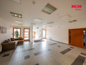 Prodej bytu 1+kk, Ostružná - Ramzová, 30 m2