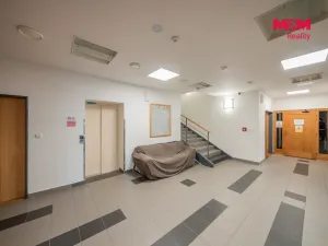 Prodej bytu 1+kk, Ostružná - Ramzová, 30 m2