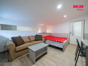 Prodej bytu 1+kk, Ostružná - Ramzová, 30 m2