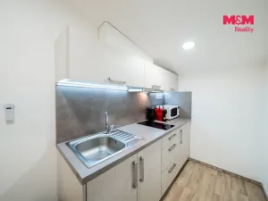 Prodej bytu 1+kk, Ostružná - Ramzová, 30 m2