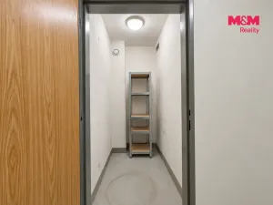 Prodej bytu 1+kk, Klecany, V Honech, 32 m2