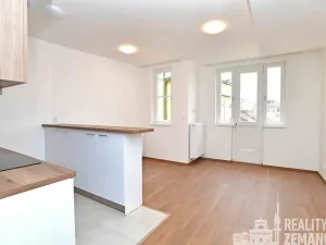 Pronájem bytu 1+kk, Praha - Vinohrady, Řipská, 30 m2