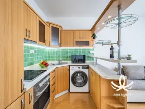 Pronájem bytu 2+kk, Mladá Boleslav, tř. Václava Klementa, 41 m2