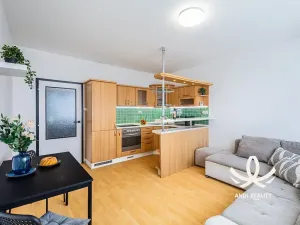 Pronájem bytu 2+kk, Mladá Boleslav, tř. Václava Klementa, 41 m2