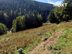 Prodej pozemku pro bydlení, Pec pod Sněžkou, 4273 m2