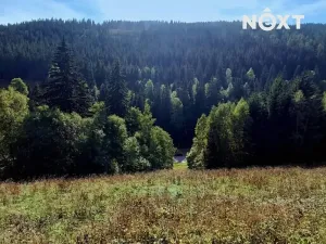 Prodej pozemku pro bydlení, Pec pod Sněžkou, 4273 m2