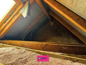 Prodej rodinného domu, Jenštejn, 344 m2