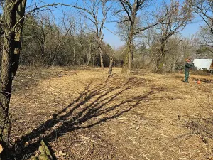 Prodej sadu/vinice, Zadní Třebaň, 5128 m2