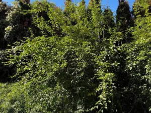 Prodej bytu 1+kk, Brno, Schovaná, 40 m2