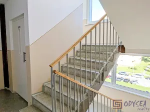 Prodej bytu 3+1, Ostrava, Podroužkova, 73 m2