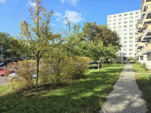 Prodej bytu 3+1, Brno, Merhautova, 67 m2